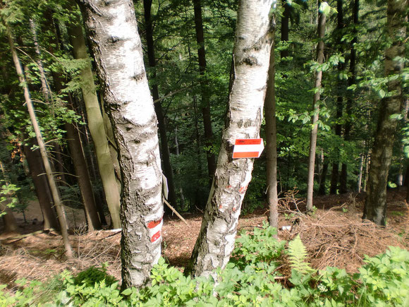 Aber der Weg da hinunter ist beschwerlicher als gedacht