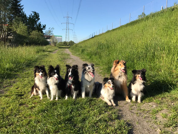 Lilo, Malu, Mae, Ixy, Belle, Kiddy u. Mini