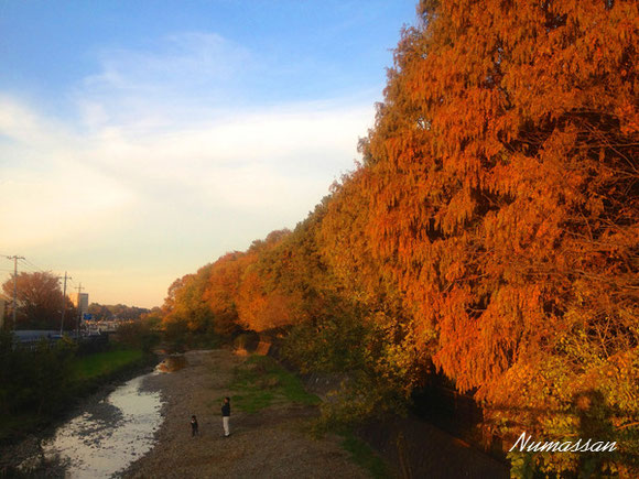 晩秋の空堀川