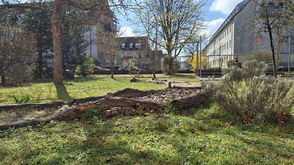 Langsam kommt der Frühling scheinbar doch noch...! Sonnige Ostergrüße aus dem Schulgarten