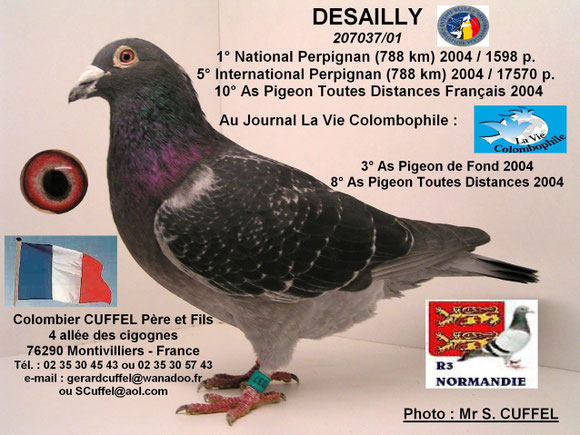 "DESAILLY", grand-père de la femelle mise en vente