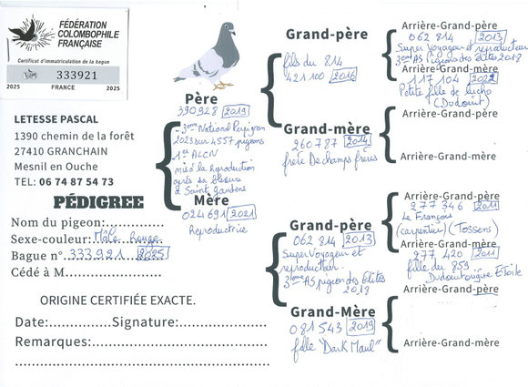 Pedigree du père du jeune