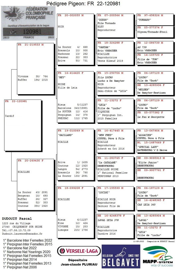 Pedigree de la mère du jeune mis en vente