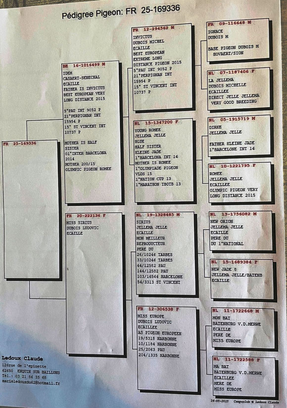 Pedigree du père du jeune mis en vente
