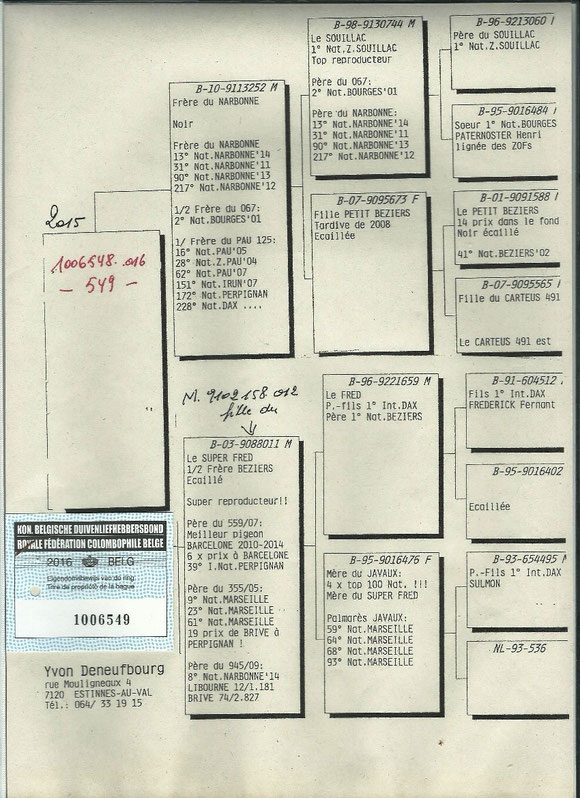 Pedigree de la mère