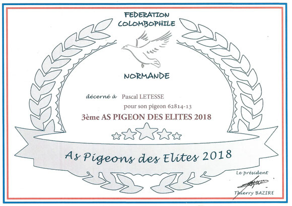 grand-père maternelle du pigeon mis en vente