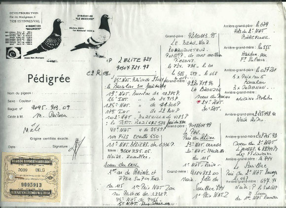 Pedigree du Père