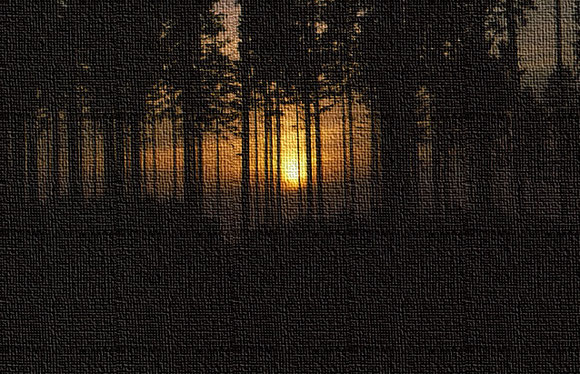Sonnenuntergang hinter schwarzen Fichten
