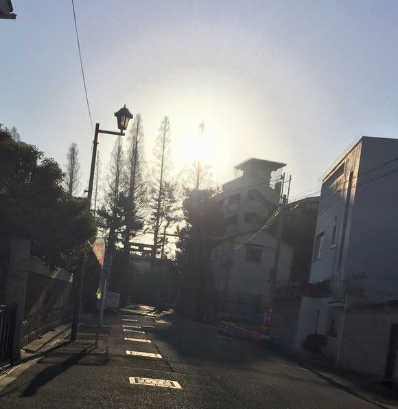 冬でも陽光に向かって歩くのは、目が眩んで周囲の景色がみえなくなり とても危険です。