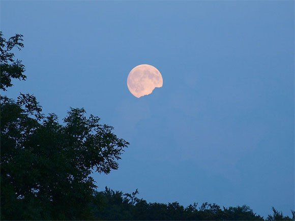 Vollmond über dunklen Bäumen am Nachthimmel in St. Johann Schwäbische Alb