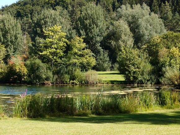 Lauchertsee umgeben von Büschen und Bäumen auf der Schwäbischen Alb