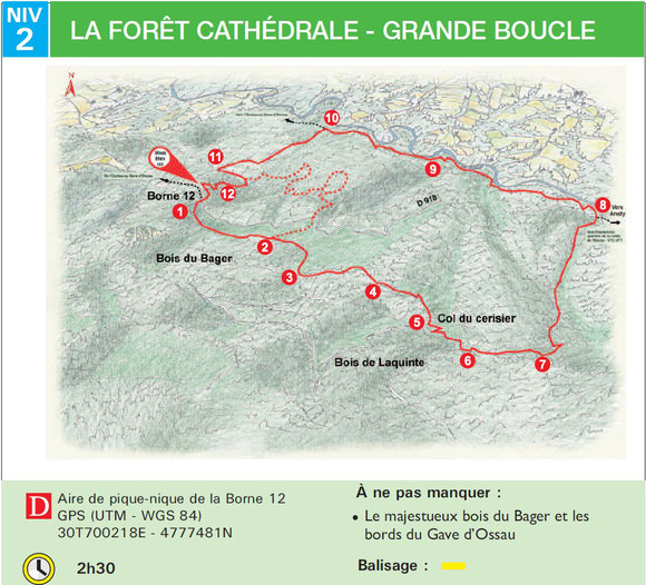 Circuit dans la forêt à proximité immédiate de nos locations au Bager sud d'Oloron