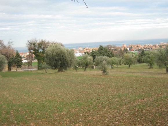 COLLINA MONDOLFO