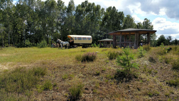 Die Wittstock-Ruppiner Heide mit Kutschenkarsten entdecken