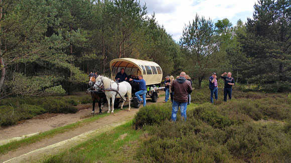 die Wittstocker Heide mit Kutschenkarsten erleben