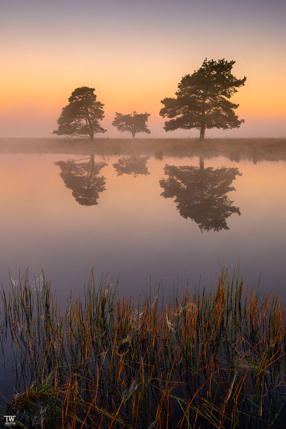 12 Perfect mirror