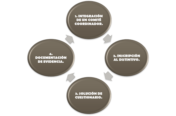 Postulación al Distintivo ESR