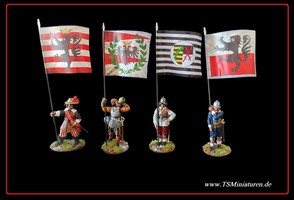 30 Year of War Saxony Infantry Flags