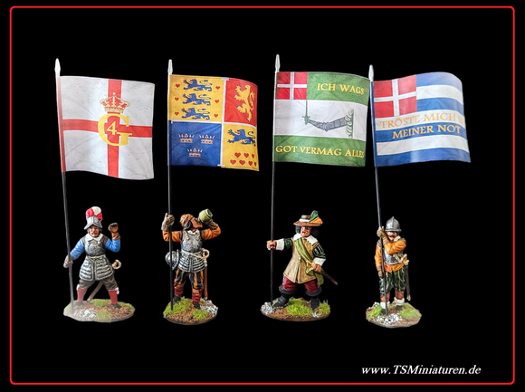 30 Year of War Danish Infantry Flags