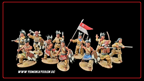 Sioux Warrior