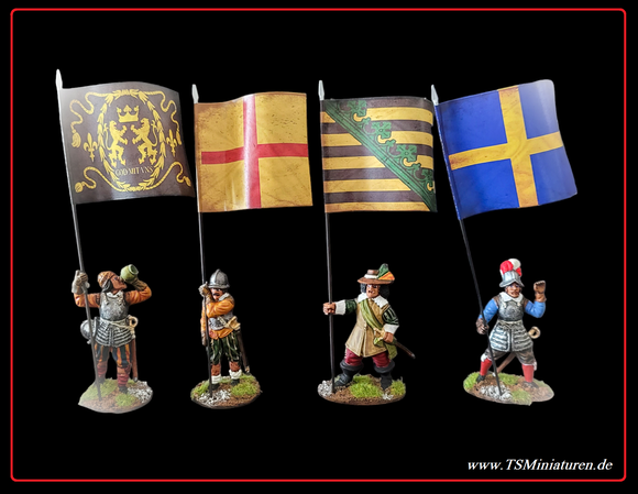 30 Year of War Sweden Infantry Flags