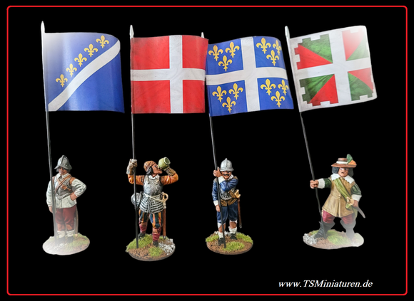 30 Year of War French Infantry Flags