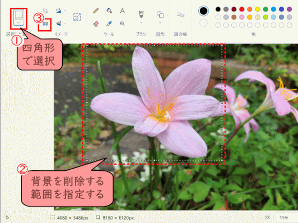 paint02:領域を選択して「背景を削除」する