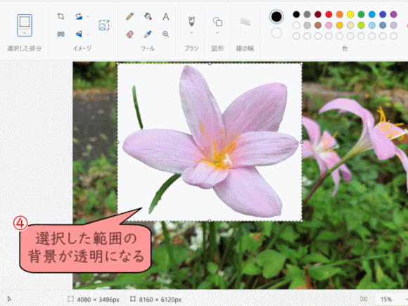 paint03:選択した範囲で、背景が透明になる