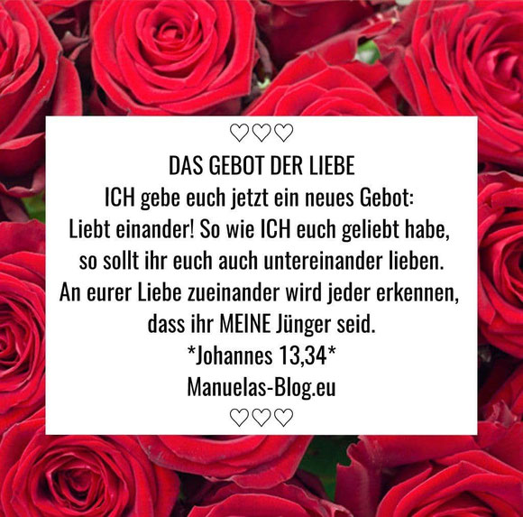 Das neue Gebot der Liebe - ♥