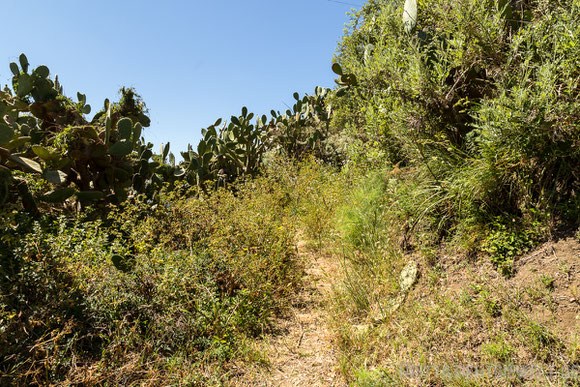 Lipari,isola,island,liparische,inseln,äolische,italy,tipps,wanderung,monte,rosa