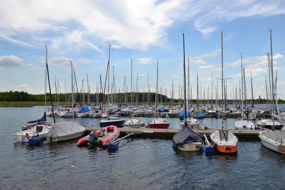 Cospudenersee
