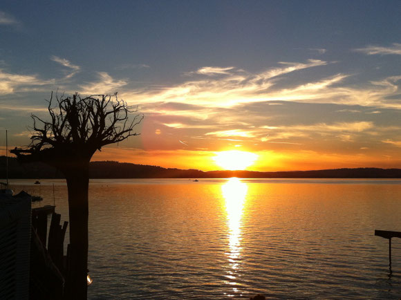 Abendstimmung beim Seeland Sempach