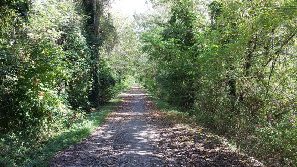 Veloweg entlang der Maggia