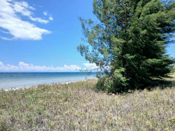 East Sumba land for sale