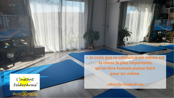 cours PCM prise de consience par le mouvement méthode feldenkrais nouveau manosque volx villeneuve sainte tulle pierrevrert groux les bain 04 séances groupe gym douce mouvement dos bon pour idée ativité mal de douleurs doux zen yoga méditation prendre soi