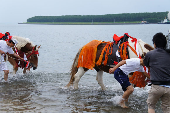 潮で身を清める様子。馬も冷たそう。奥に見えるのは志布志石油基地