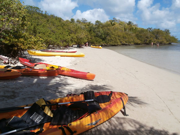 plage de l'ilet chancel Madinina kayaks