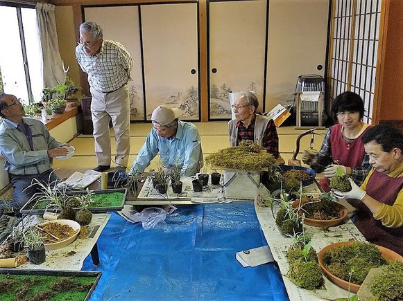 ひがしやま山野草の会　「こけ玉づくり」の様子　令和元年6月