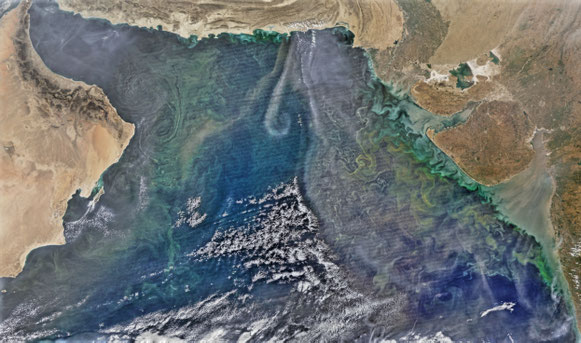 Mer d'Arabie (2015).