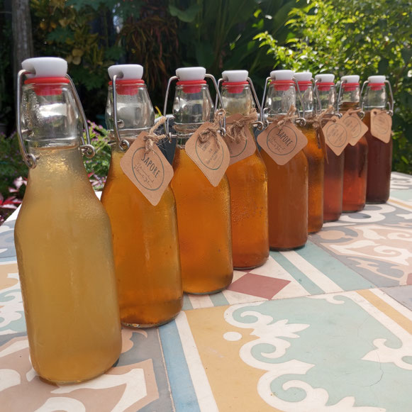 Nypa Style Resort, Camiguin, Philippines, fusion italian-asian cuisine, homemade kombucha, happy hour