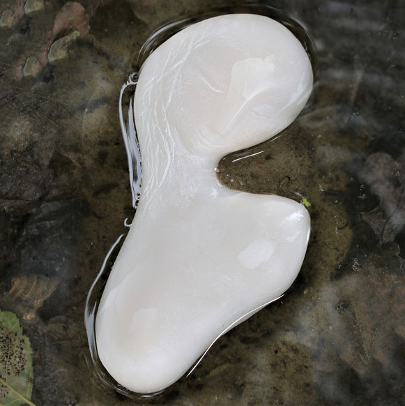 Heidrun Feistner: Die Mondfrau / Stein / 17 cm, liegend / 2014 und 2015 / Foto Jean Molitor