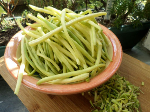 Cuisiner des haricots beurre frais....