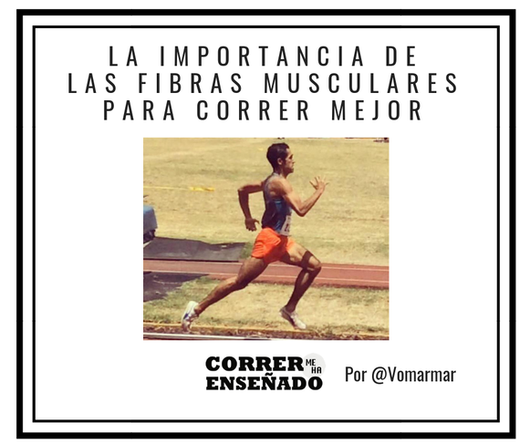 La importancia de las fibras musculares para correr mejor