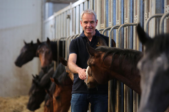 Antoon Dekkers. Photo Wendy Scholten | Horse Auctions Europe