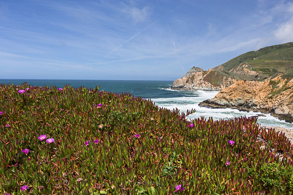 californie, états unis, united states, amérique du nord,pacifique, côte pacifique, california,road trip california, byzegut, rtl2, rachel jabot ferreiro, erjihef photo