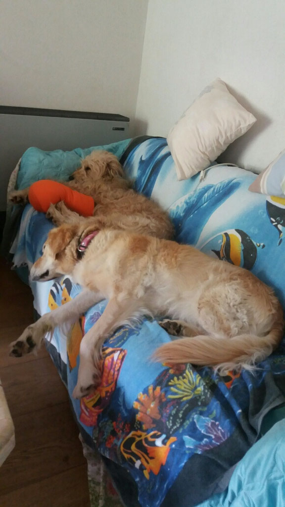 Zea heute glücklich mit Sunshine