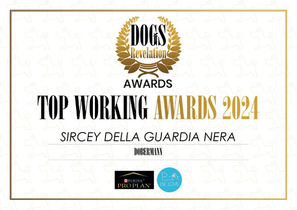 Ch. SIRCEY DELLA GUARDIA NERA 