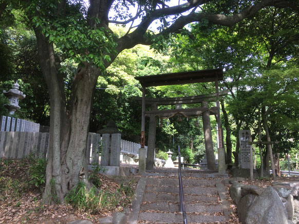 春日神社（筆者撮影）