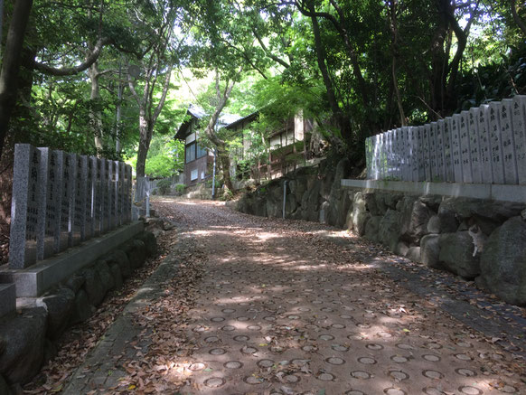 春日神社（筆者撮影）