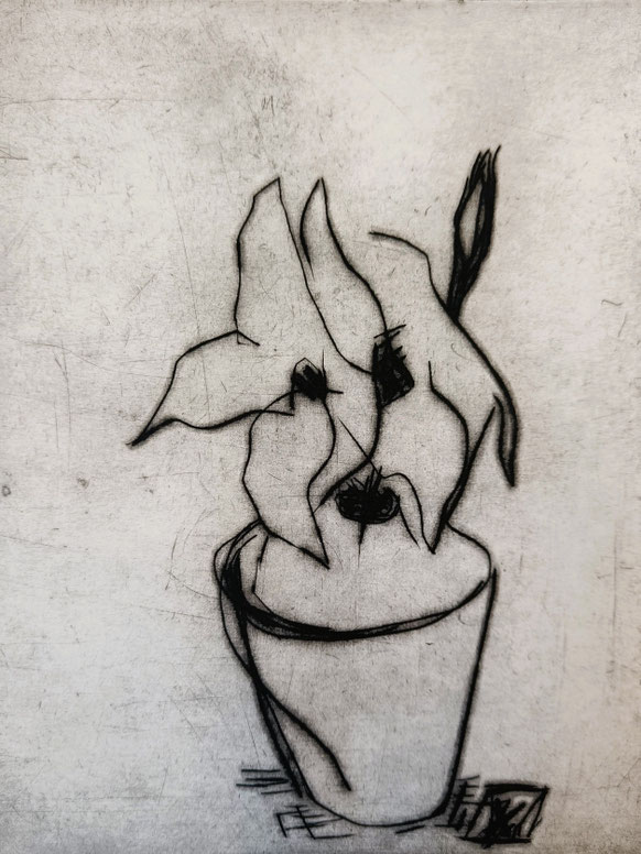 DIPLADENIA & MEISSEN PORCELAIN IN BLACK II | 2026 | 29,7 x 21 cm | drypoint on laid paper by Hahnemühle | edition: 3 